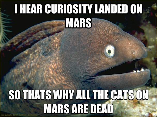I hear curiosity landed on mars so thats why all the cats on mars are dead   Bad Joke Eel