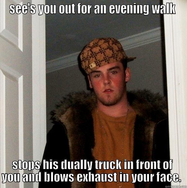 SEE'S YOU OUT FOR AN EVENING WALK STOPS HIS DUALLY TRUCK IN FRONT OF YOU AND BLOWS EXHAUST IN YOUR FACE.  Scumbag Steve