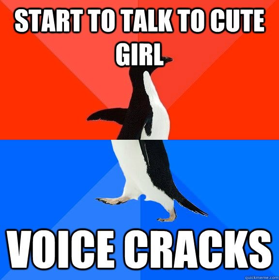 Start to talk to cute girl Voice cracks  Socially Awesome Awkward Penguin