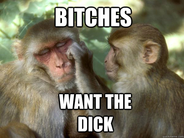 Bitches Want the dick - Bitches Want the dick  Bitches want the dick