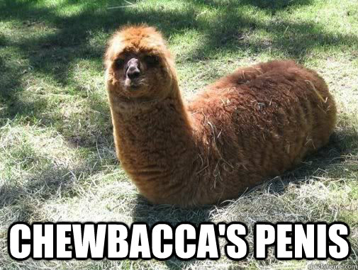  CHEWBACCA'S PENIS  Alpacapillar