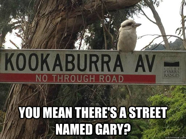  You mean there's a street named gary? -  You mean there's a street named gary?  Misc