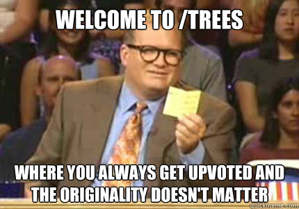 Welcome to /trees Where you always get upvoted and the originality doesn't matter  