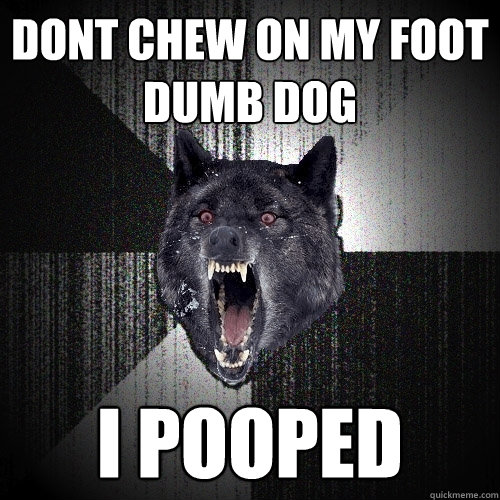 dont chew on my foot dumb dog i pooped  Insanity Wolf