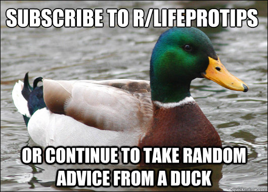 Subscribe to r/LifeProTips Or continue to take random advice from a duck  Actual Advice Mallard