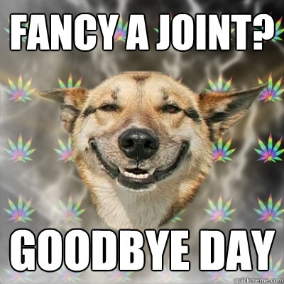 Fancy a joint? Goodbye Day - Fancy a joint? Goodbye Day  Stoner Dog