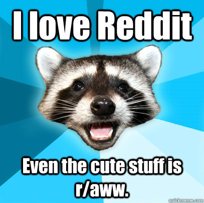 I love Reddit Even the cute stuff is r/aww.   Lame Pun Coon