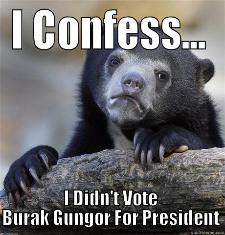 I CONFESS... I DIDN'T VOTE BURAK GUNGOR FOR PRESIDENT Confession Bear