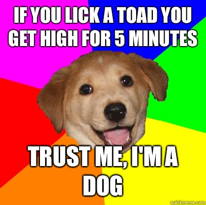 If you lick a toad you get high for 5 minutes trust me, I'm a dog  Advice Dog