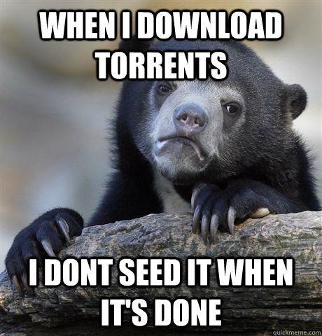 when i download torrents i dont seed it when it's done  Confession Bear