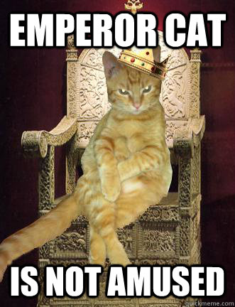 Emperor Cat is not amused  