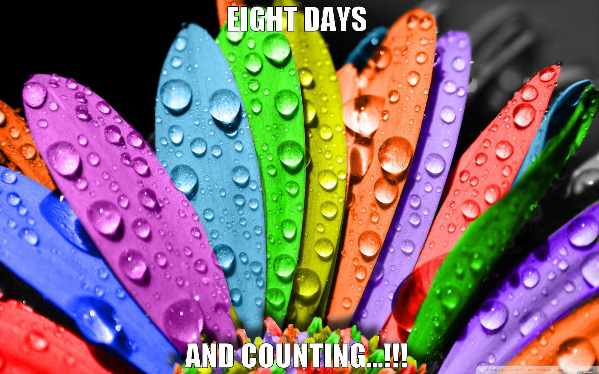 EIGHT DAYS AND COUNTING...!!! Misc