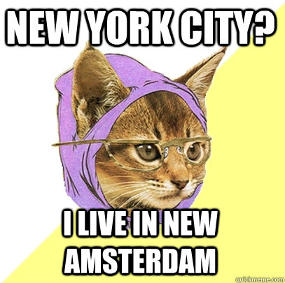 new york city? i live in new amsterdam  Hipster Kitty