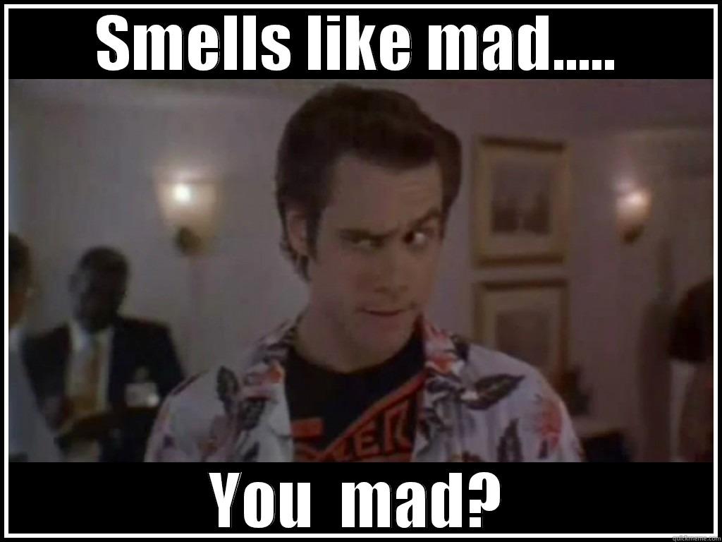 SMELLS LIKE MAD..... YOU  MAD? Misc