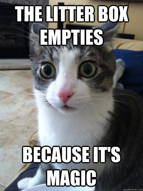 The LItter box empties  Because it's magic - The LItter box empties  Because it's magic  Sudden Clarity Cat