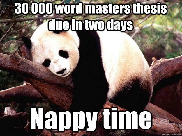 30 000 word masters thesis due in two days Nappy time  Procrastination Panda