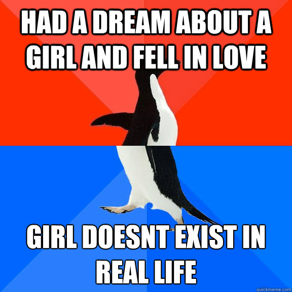 Had a dream about a girl and fell in love Girl doesn´t exist in real life  Socially Awesome Awkward Penguin