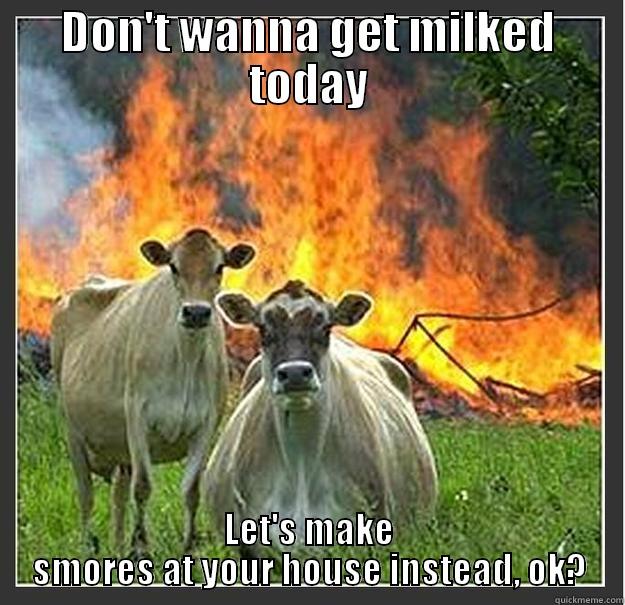DON'T WANNA GET MILKED TODAY LET'S MAKE SMORES AT YOUR HOUSE INSTEAD, OK? Evil cows