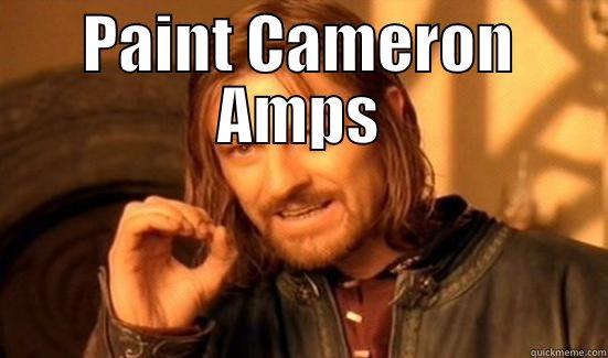 PAINT CAMERON AMPS                             Boromir