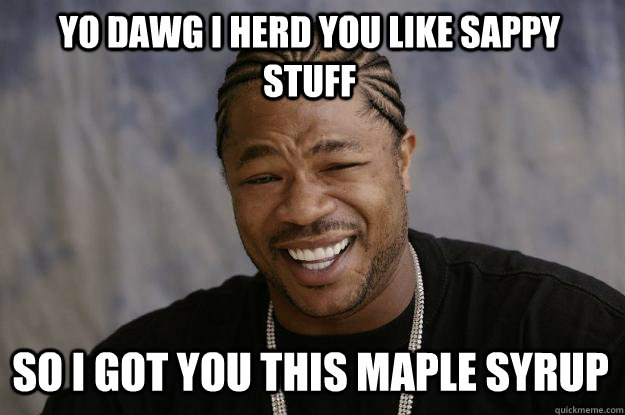 YO DAWG I herd you like sappy stuff so I got you this maple syrup  Xzibit meme