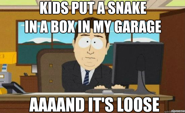 kids put a snake 
in a box in my garage AAAAND IT'S loose  aaaand its gone