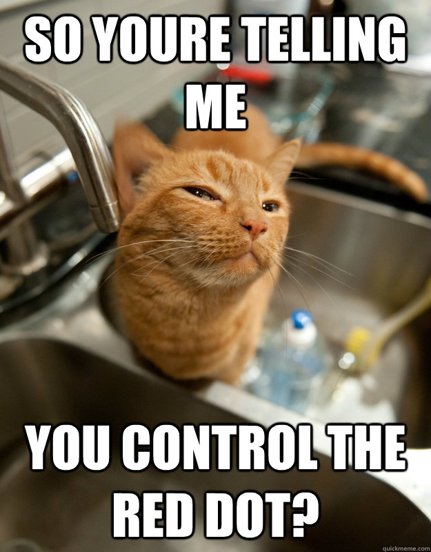 So youre telling me you control the red dot? - So youre telling me you control the red dot?  Skeptical cat