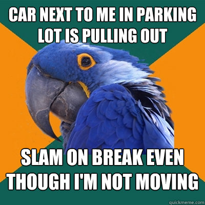 car next to me in parking lot is pulling out slam on break even though i'm not moving  Paranoid Parrot