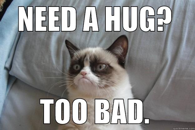 Need a hug? Too bad - NEED A HUG? TOO BAD. Grumpy Cat