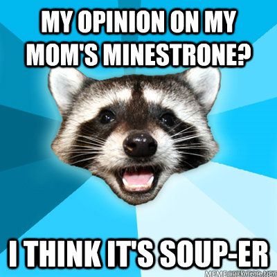 My opinion on my Mom's minestrone?  I think it's SOUP-er   Lame Pun Raccoon