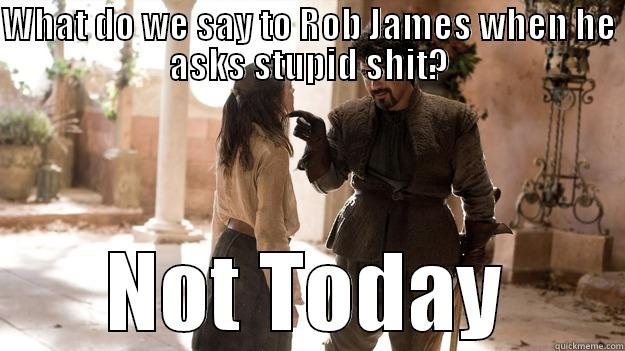 Rob notstark is so demanding - WHAT DO WE SAY TO ROB JAMES WHEN HE ASKS STUPID SHIT? NOT TODAY Arya not today
