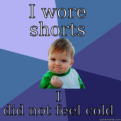 I WORE SHORTS I DID NOT FEEL COLD Success Kid