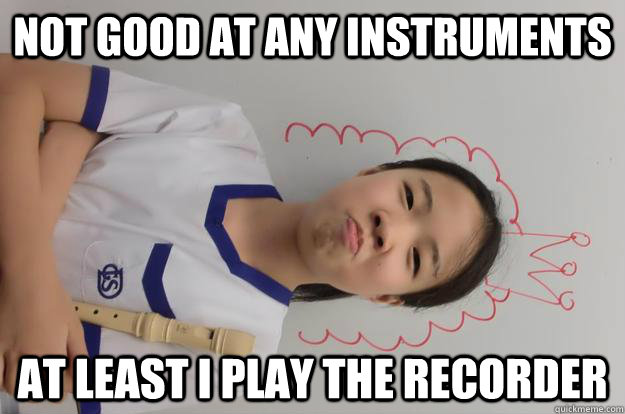 not good at any instruments at least i play the recorder  Professional recorder player