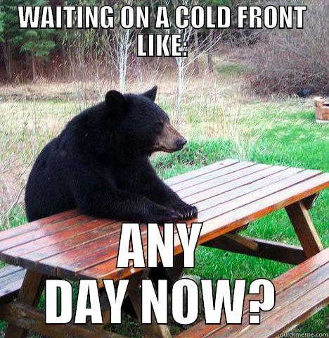 ITS BARELY COLD. - WAITING ON A COLD FRONT LIKE: ANY DAY NOW? waiting bear