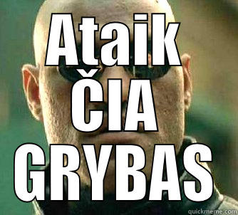ATAIK ČIA GRYBAS Matrix Morpheus