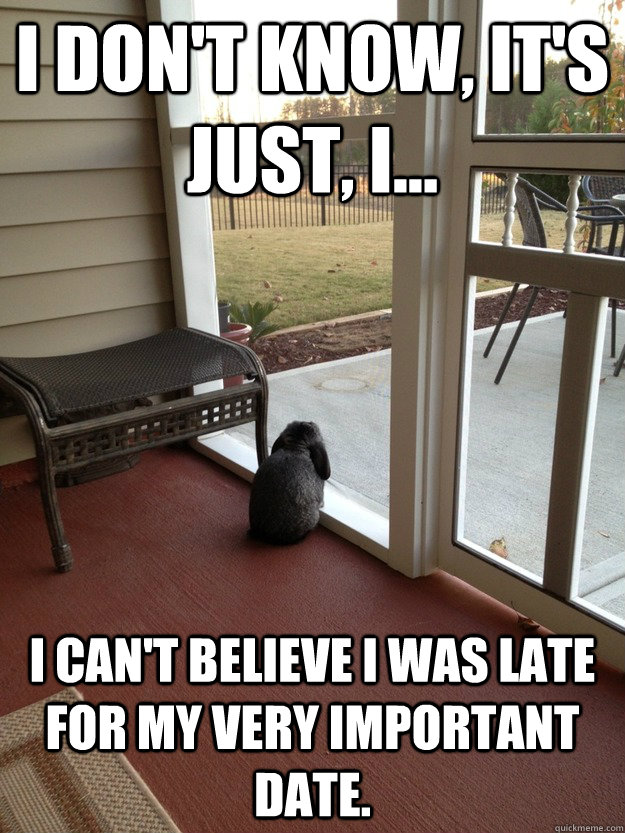 I don't know, It's just, I... I can't believe i was late for my very important date.  Facing Reality Bunny