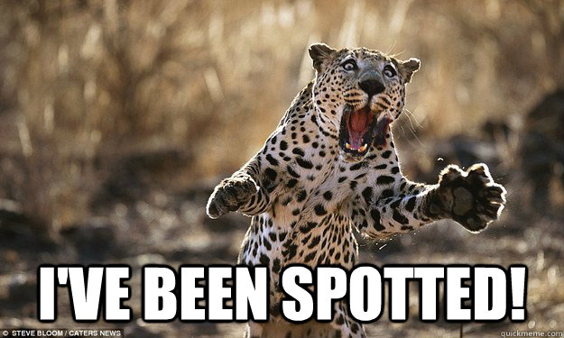  i've been spotted!  Lamre Pun Leopard