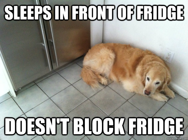 Sleeps in front of fridge Doesn't block fridge  