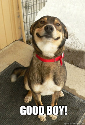  Good Boy! -  Good Boy!  Good Dog Greg