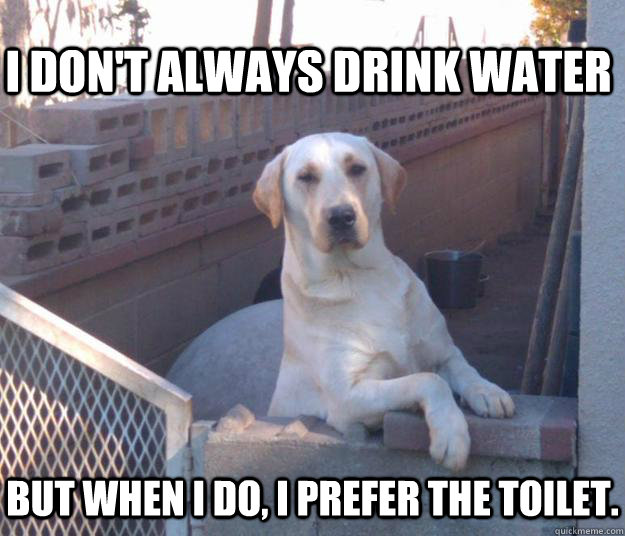 I don't always drink water but when I do, I prefer the toilet.  