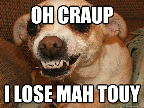 oh craup i lose mah touy   worried dog