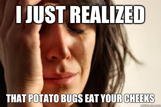 I just realized That potato bugs eat your cheeks  First World Problems