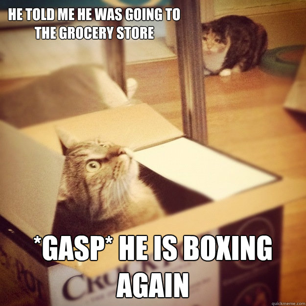 he told me he was going to the grocery store *gasp* he is boxing again  Cats wife