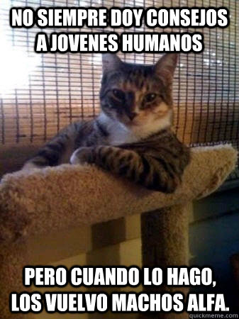 No siempre doy consejos a jovenes humanos pero cuando lo hago, los vuelvo machos alfa. - No siempre doy consejos a jovenes humanos pero cuando lo hago, los vuelvo machos alfa.  The Most Interesting Cat in the World