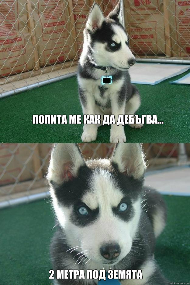 попита ме как да дебъгва... 2 метра под земята  Insanity puppy