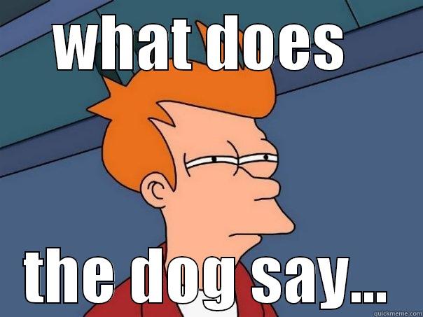 WHAT DOES  THE DOG SAY... Futurama Fry