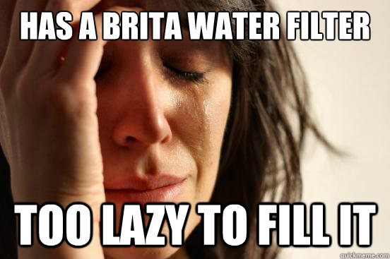 Has a Brita water filter Too lazy to fill it  First World Problems