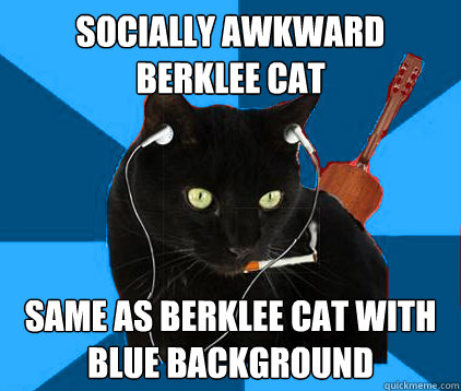 socially awkward berklee cat same as berklee cat with blue background  Socially Awkward Berklee Cat