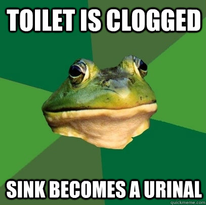 Toilet is clogged  Sink becomes a urinal  Foul Bachelor Frog
