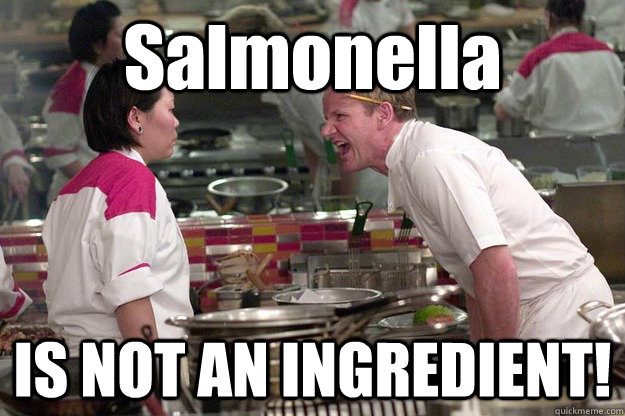 Salmonella IS NOT AN INGREDIENT! - Salmonella IS NOT AN INGREDIENT!  Misc