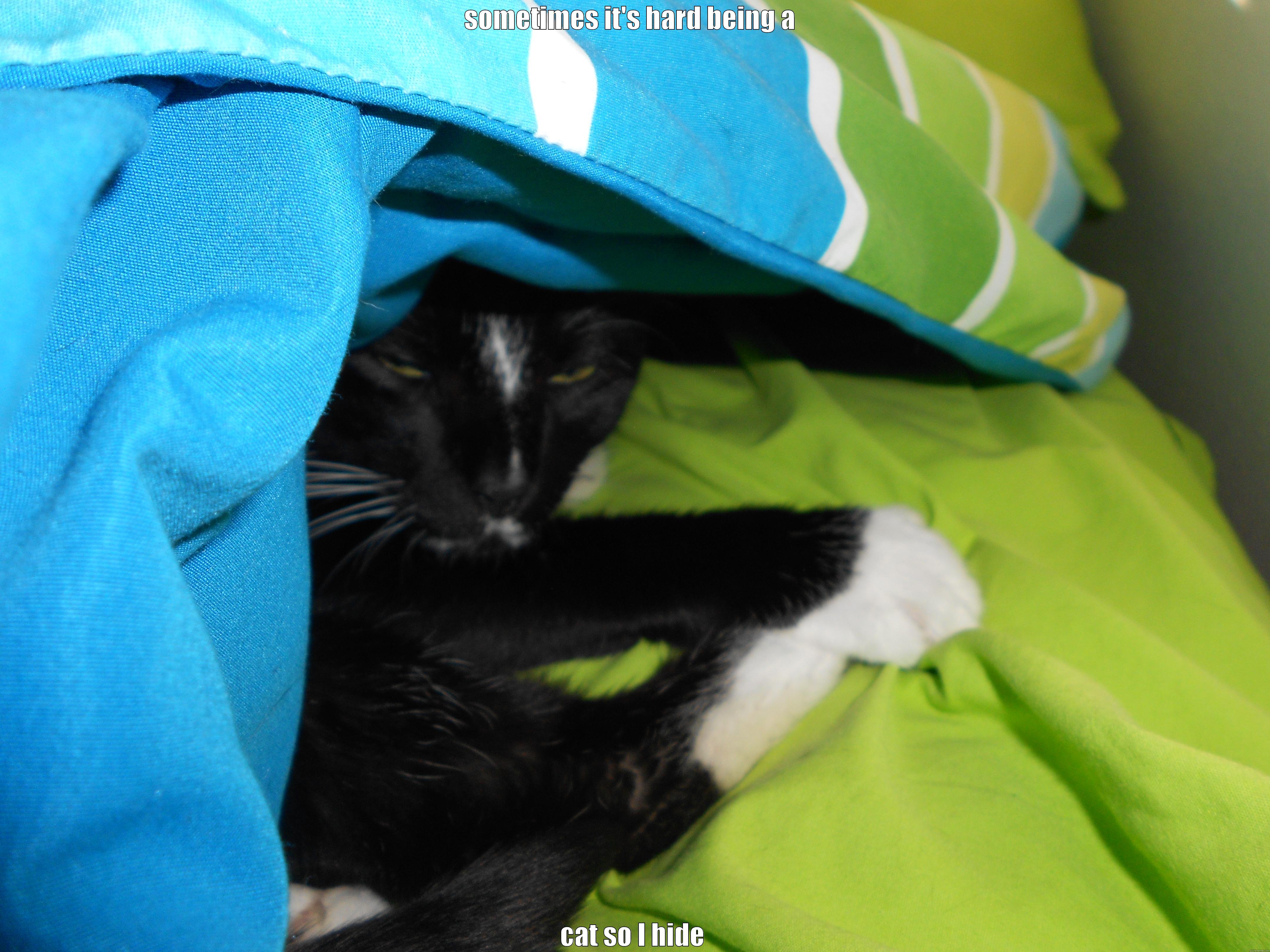 SOMETIMES IT'S HARD BEING A  CAT SO I HIDE Misc